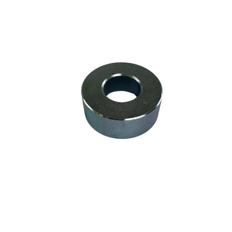 Galet de guidage pour TRUSTERS ELVT3300 - Référence JP16-00020-000